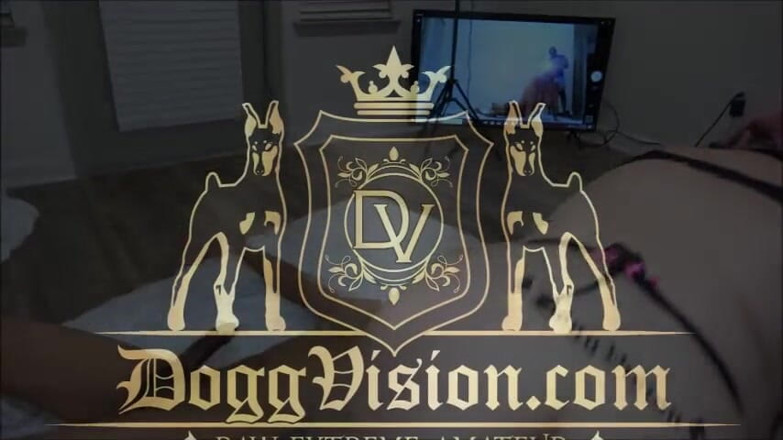 DoggVision: Surowy seks Piesek kontra rozmiar h cycki Sara Star