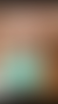 3054013162.mp4