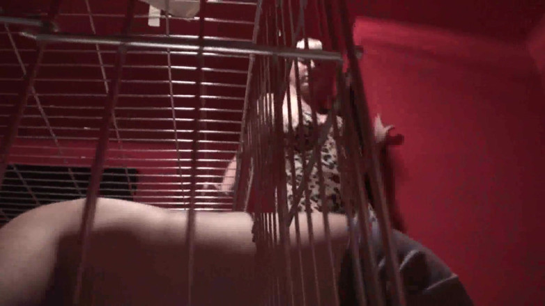 Femdom Austria: She makes her pet clean his cage
