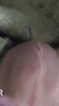 Video E Momenti Di Raccolta