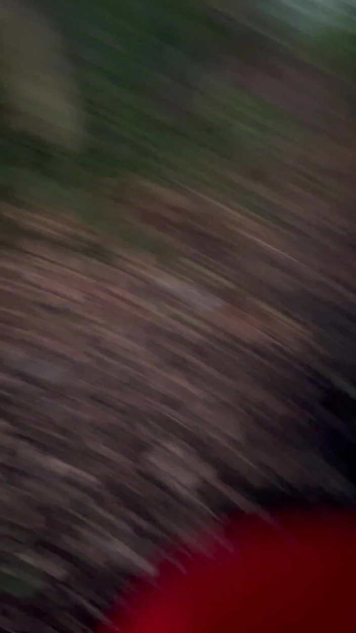 Kadu: 런던에서 크루즈. 아빠가 지난 여름에 무슨 짓을 했는지 알아