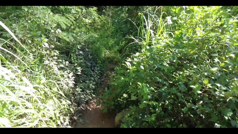 English Psycho: O Am găsit o uimitoare transsexuală de 18 ani Barbie de...