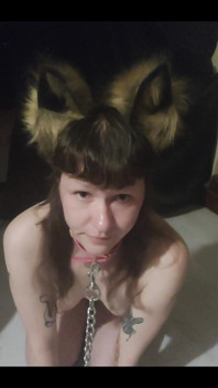 Im Your Pet
