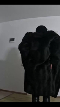 3801855166.mp4