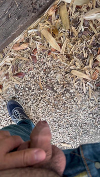 Peeing in the Garden