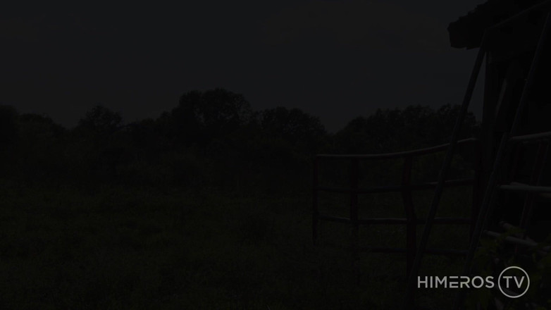 Himeros.tv: 바마!