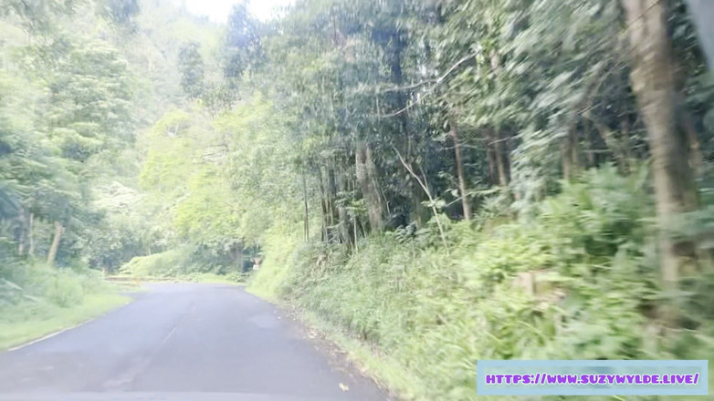 Suzy Wylde: Waimoku Şelalesi'nde Suzy Wylde için Hana'ya seyahat