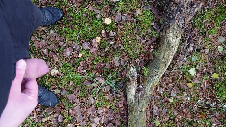 Carmen_Nylonjunge: Little Penis Pissing
