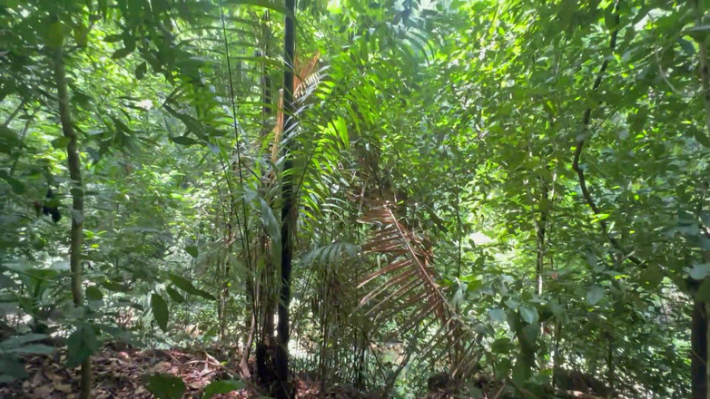 Saraymike: 사라의 창녀는 친구의 바람둥이 남자친구가 자신의 항문을 관통하는 것을 좋아한다.