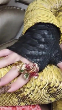 Mis uñas extra largas de piel de serpiente follan tu mente