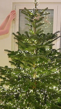 エロティックなクリスマスツリーの飾り付け
