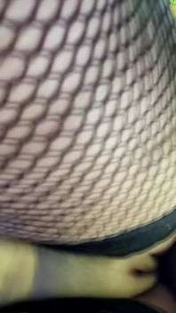 Breeding Compilation with Over 20 Breeding Scenes All Filmed in the Last 6 Months