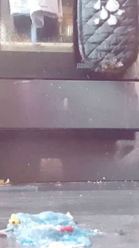 Крошечная быдляйка