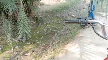 Desiboy gay: 핫한 소년 섹스 파키스탄