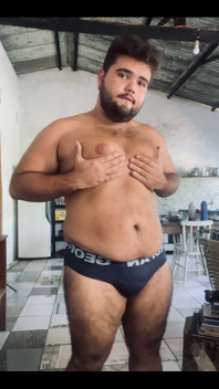 Solo Bear