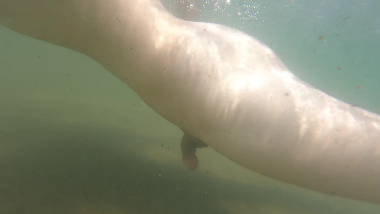 Cool Body: Me corro solo por el placer de sentirme libre, desnuda...