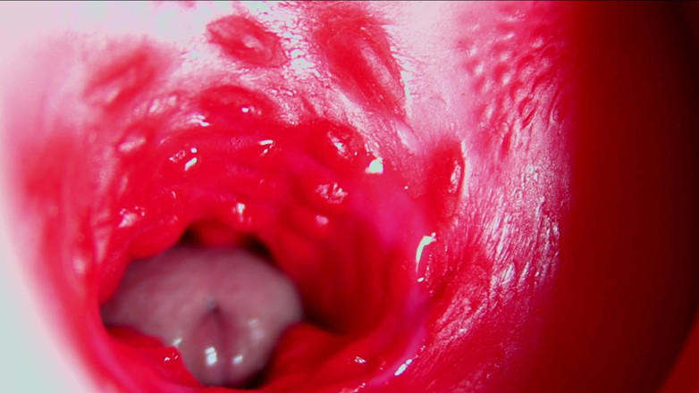 SEXY_GUYBEST: 후장 클로즈업 후장 깊숙히 빨아주는 보짓물 가득한 아름다운 보지