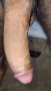 Big Desi Indian Dick