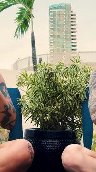 Sneezing Chaos di teras: mars solo dan tatiana vex