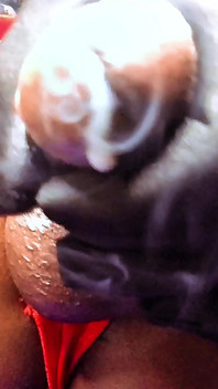Ms300 Sarazia Exotic - Smoking Hot