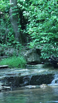 Flexing by the Waterfall, Trying to Sneak a Little Private Moment…
