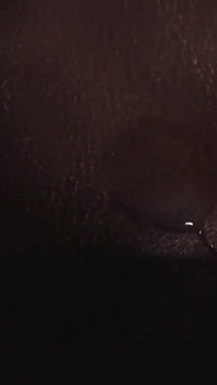 Handsfree Perfect Cum