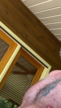 Liams TVå Pappor