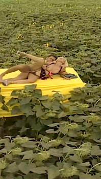 Tavolozza Erotica 02: Calore Anale Giallo