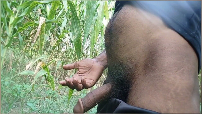 DesiDarkArt: Desi Shemale Gay Boy Sesking Big Back Dig Comsot