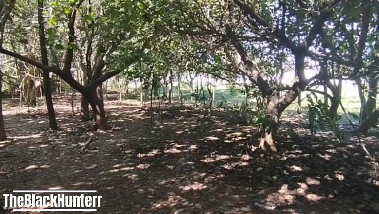 TheBlacKHunterr: Mein Kollege im Park