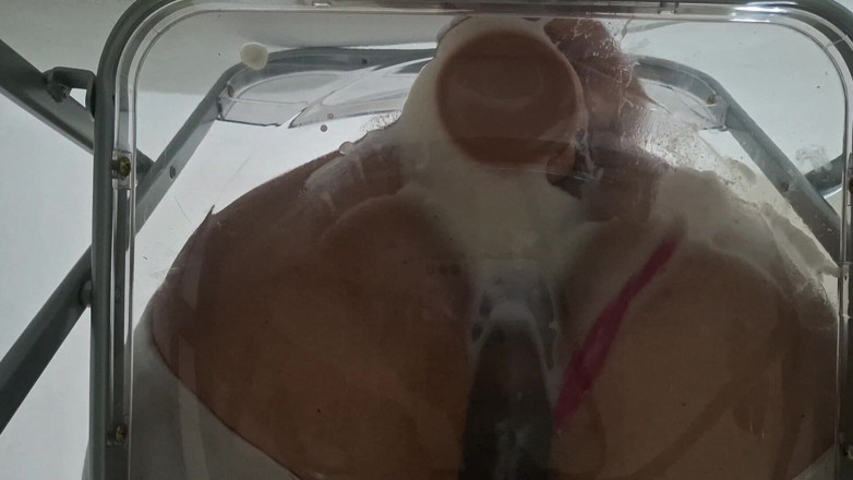 fermerino: Trans Fetter Arsch, Gwen Facesitting Und Anal Zum Ersten Mal...