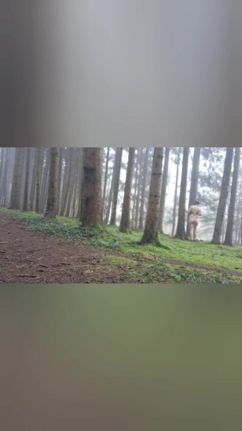 Swissapple: Dalam Carian Santa Claus