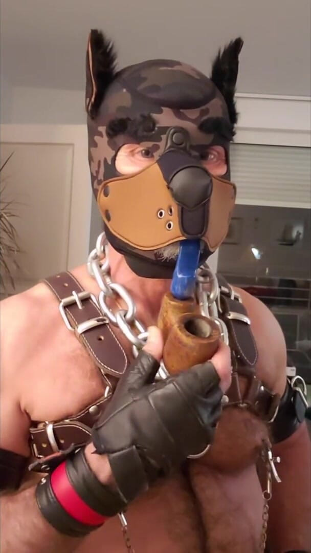 MusclesCigarsFFPig: Pupdad