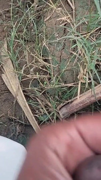 Desi Mahol