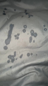 Who Wants to Swallow My Cum