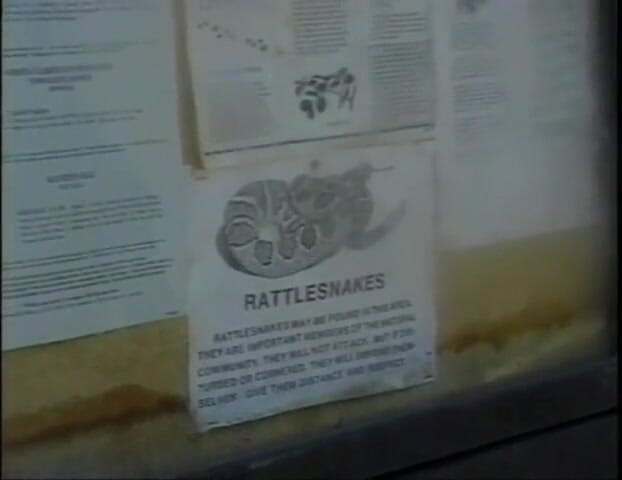 Africans Orgasm: Sexy černá drobná šukání velkého černého ptáka sání ... stříkání na kozy