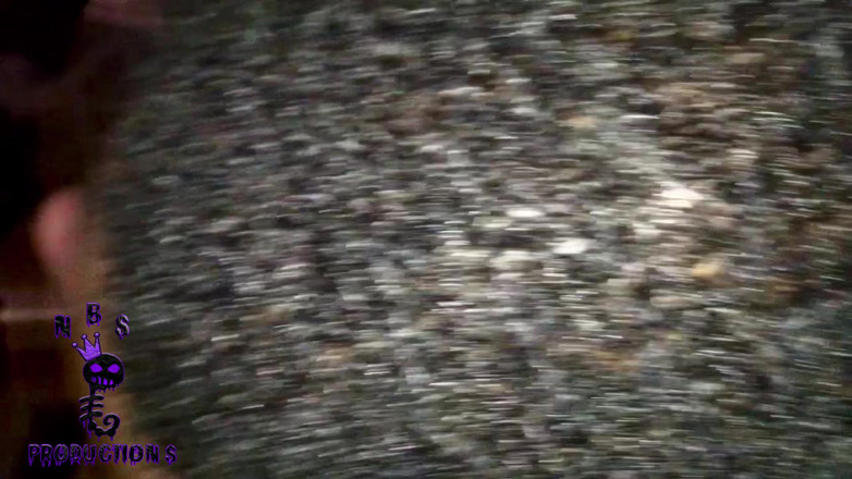 NB Topper: Aventures d’éleveurs noirs 175