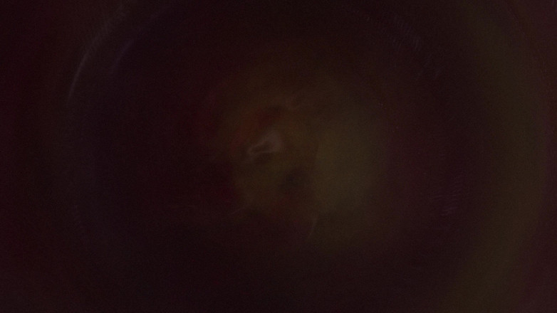 Asdfghjl2025: B025 asiática beleza tentacbondage escravo rosto sentado, peidando, anal lambendo