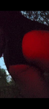 My Ass 2
