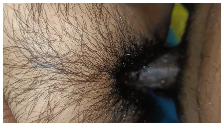 OriginalAmelia: Saç amcık sikişi, desi dulhan sashural'da sikişiyor