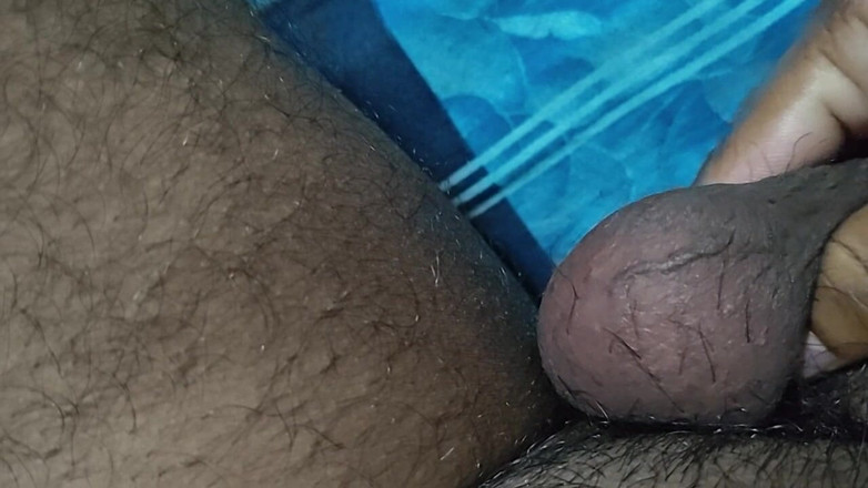 Hot Chilli 2025: A melhor diversão solo! Assista às atividades favoritas do meu hamster