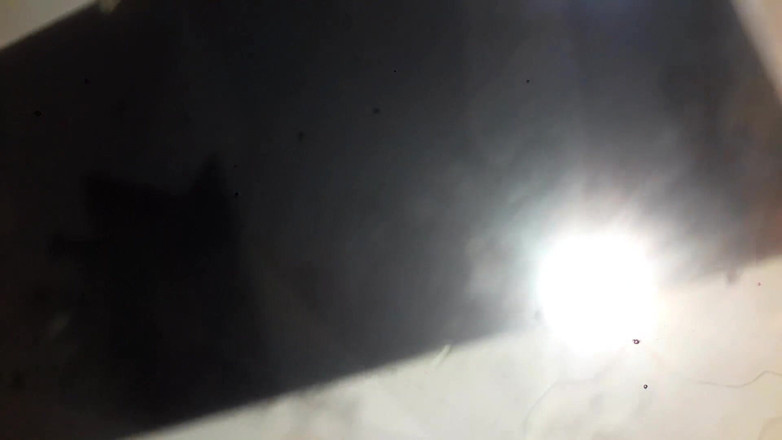 Tina Baby: Hausmädchen Ist Meine Kostenlose Schlampe, Während Ehefrau Arbeitet