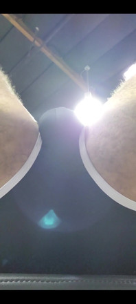 Getting Those Squats in...