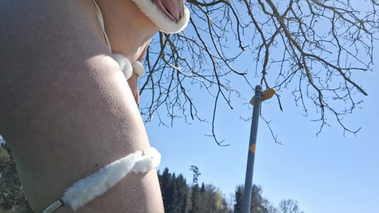 Swissapple: Co ten króliczek tam robi?