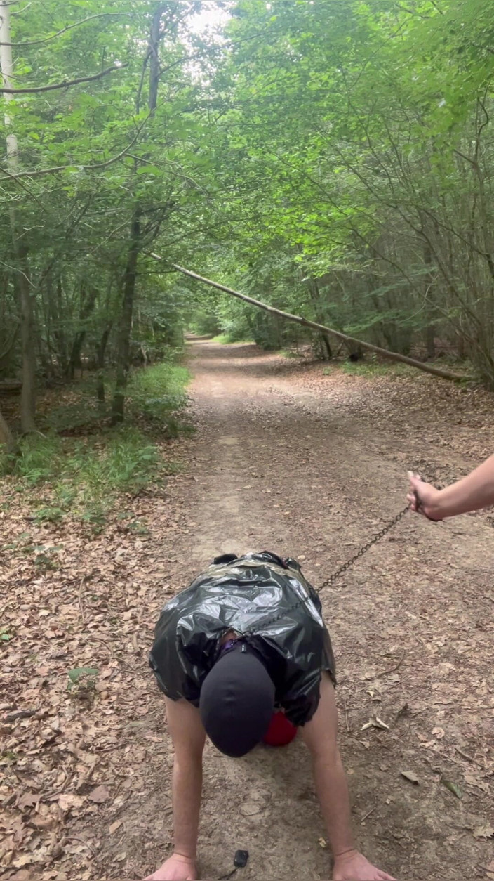 Maitresse Clara: 숲 속에서의 벌...