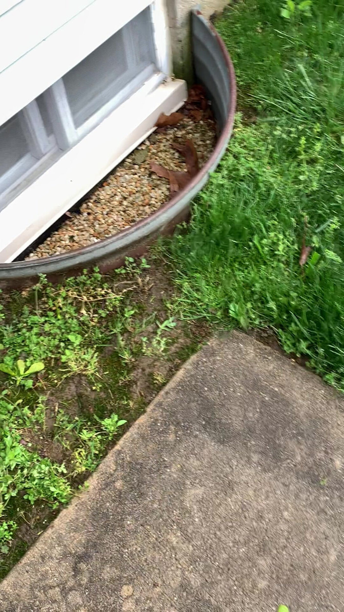 Jaycee starr: Beccato a masturbarsi dal fidanzato