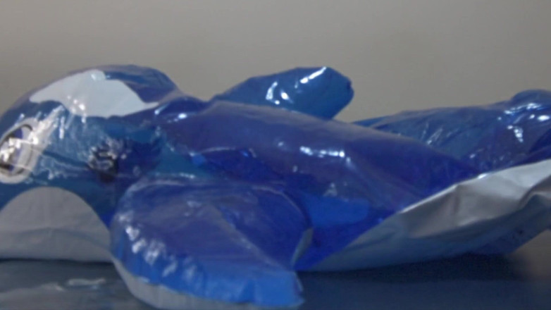 Aussie bi boy: Timelapsed 拆箱，充气和放气 modded blimp whale