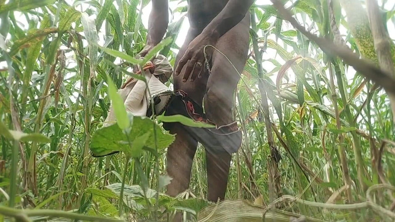 Salonibhabhi: Hitam besar menjolok di ladang jagung