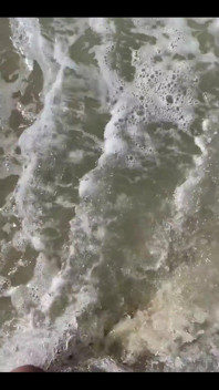 I Love the Sea and the Sun