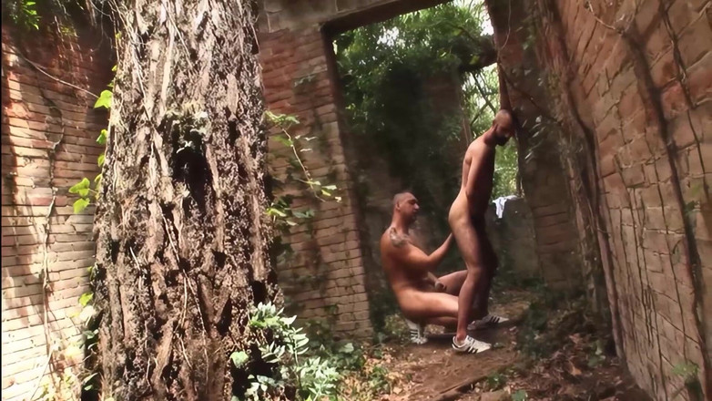 Transsexuell and gay club: Harabelerde Vahşi açık Havada Eşcinsel Anal Sikiş